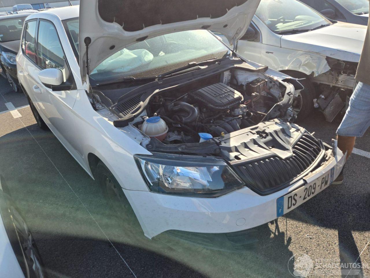 Skoda Fabia 