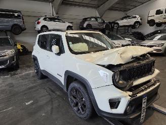 Schadeauto Jeep Renegade  2019/9