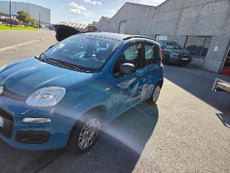 Fiat Panda  picture 3
