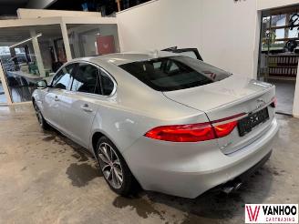 Jaguar XF  picture 5