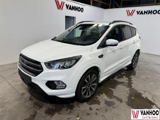 skadebil auto Ford Kuga  2019/4