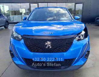 Peugeot 2008 ACTIVE picture 2