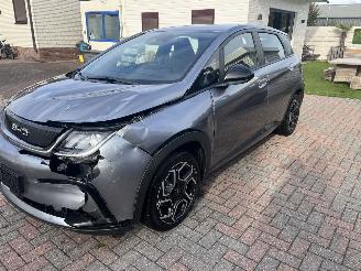 BYD Dolphin DOLPHIN BEV 65kWh Design picture 13