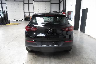 Opel Grandland SUV picture 4