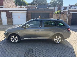 Skoda Fabia Combi 1.2 TSI JOY picture 16