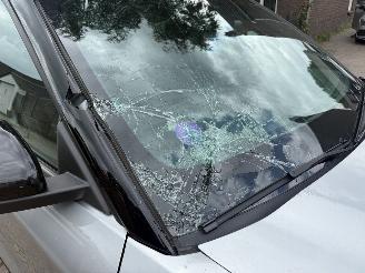 Ford Explorer 3.0 V6 EcoBoost 7 PERS PHEV ST-Line BTW! picture 5