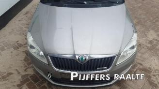 Skoda Fabia Fabia II (5J), Hatchback 5-drs, 2006 / 2014 1.2 TDI 12V Greenline picture 5