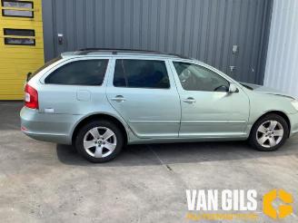 Skoda Octavia Octavia Combi (1Z5), Combi 5-drs, 2004 / 2013 2.0 TDI PDF picture 8
