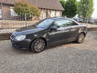 Sloopauto Volkswagen Eos 1.4 2009/4