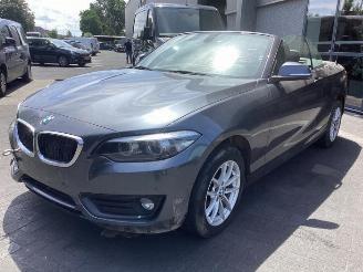 Purkuautot passenger cars BMW 2-serie 2 serie (F23), Cabrio, 2014 / 2021 218i 1.5 TwinPower Turbo 12V 2019/1