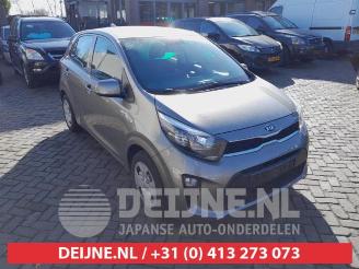 Purkuautot passenger cars Kia Picanto Picanto (JA), Hatchback, 2017 1.0 12V 2019/10
