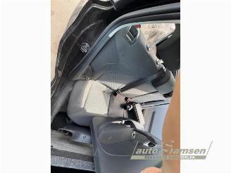 Volkswagen Polo Polo V (6R), Hatchback, 2009 / 2017 1.4 TDI DPF BlueMotion technology picture 10