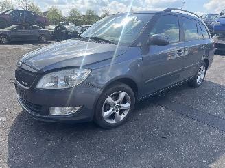 Vrakbiler auto Skoda Fabia  2011/1