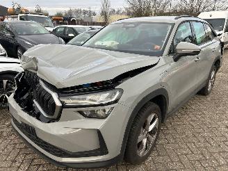 Schadeauto Skoda Kodiaq 1.5 TSI  PHEV  Business Edition  Automaat 2025/8