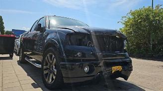 Démontage voiture Ford USA F-150 F-150, Pick-up, 2003 / 2008 5.4 V8 4x4 2006/5