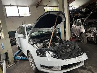 Auto da rottamare Skoda Octavia 1.0 tsi 2019/5