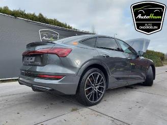 Audi E-tron E-tron Sportback (GEA), SUV, 2019 50 picture 22