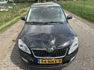 Skoda Fabia 1.2 TDI Greenline airco picture 25