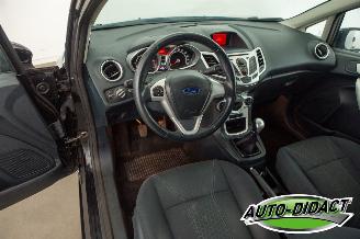 Ford Fiesta 1.6 TDCi Clima ECOnetic Trend picture 20