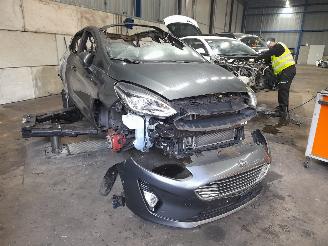 Ford Fiesta Fiesta 7 Hatchback 1.0 EcoBoost 12V 100 (SFJK) [74kW]  (05-2017/07-202=
3) picture 2