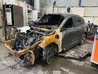 Auto da rottamare Ford Kuga Kuga III (DFK) SUV 2.5 PHEV 16V (BGDA) [165kW]  (07-2019/...) 2023/7