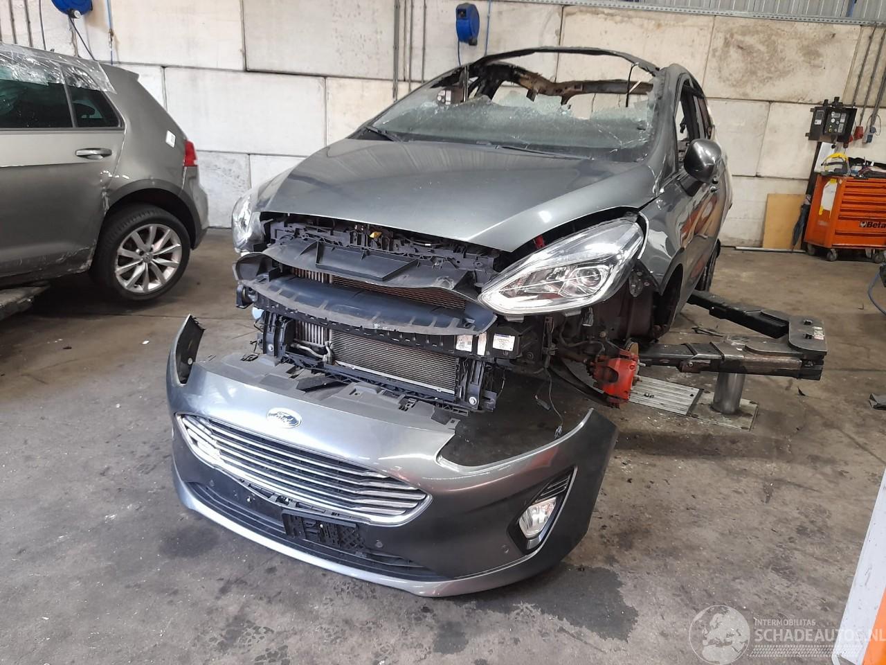 Ford Fiesta Fiesta 7 Hatchback 1.0 EcoBoost 12V 100 (SFJK) [74kW]  (05-2017/07-202=
3)