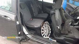 Ford B-Max B-Max (JK8), MPV, 2012 1.0 EcoBoost 12V 100 picture 14