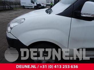Fiat Doblo Doblo Cargo (263), Van, 2010 1.3 MJ 16V Euro 4 picture 9