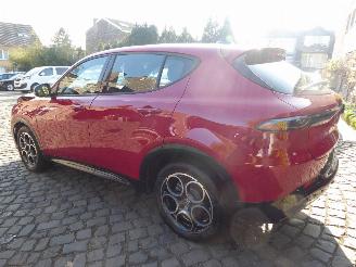 Alfa Romeo Tonale Hybrid picture 6