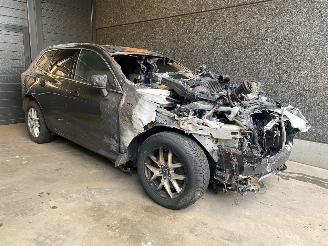 Vrakbiler auto Volvo Xc-60 XC60 II (UZ) SUV 2.0 D4 16V AWD SUV  Diesel 1.969cc 140kW (190pk) 4x4 2019/1