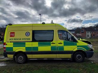 Mercedes Sprinter Sprinter 3,5t (906.63), Van, 2006 / 2020 316 CDI 16V picture 7