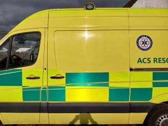 Mercedes Sprinter Sprinter 3,5t (906.63), Van, 2006 / 2020 316 CDI 16V picture 6