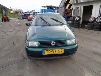 okazja samochody osobowe Volkswagen Polo Polo (6N1) Hatchback 1.6i 75 (AEE) [55kW]  (10-1994/10-1999) 1998/3
