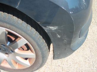 Peugeot 207  picture 5