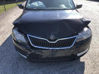Skoda Rapid 1.6 tdi picture 8